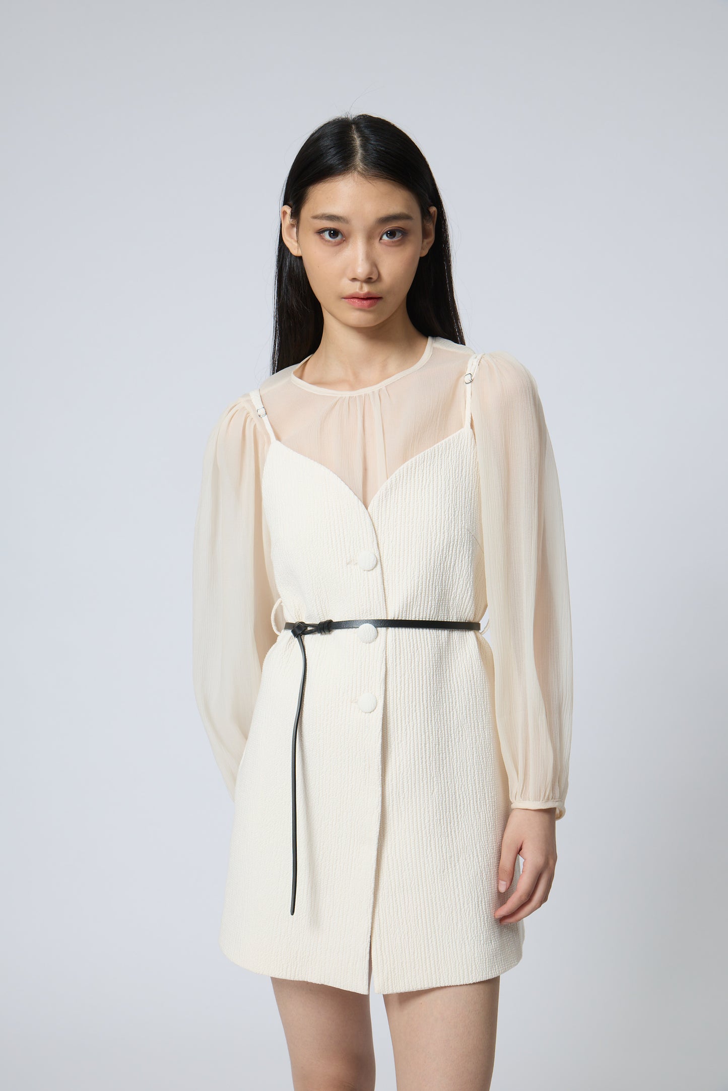Sheer Puff-Sleeve Blouse