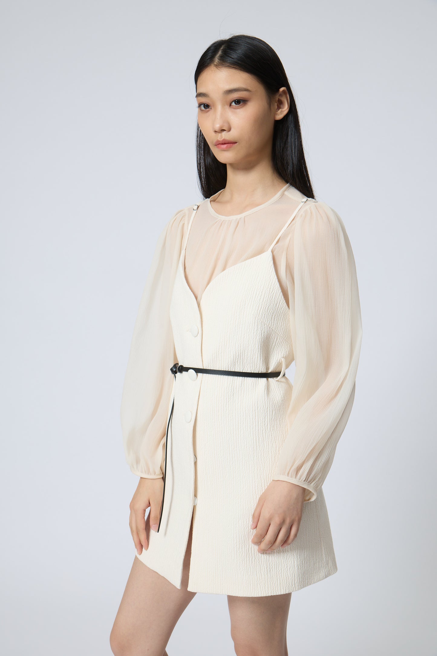 Sheer Puff-Sleeve Blouse