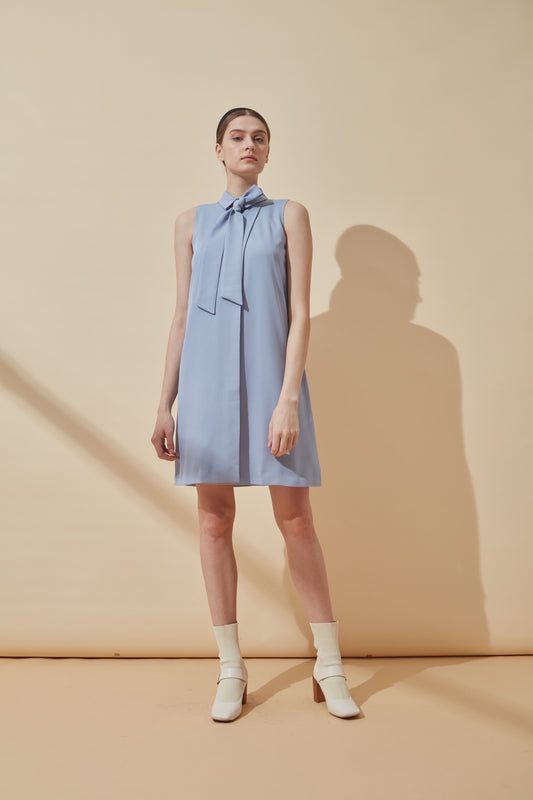 Georgette Shift Dress